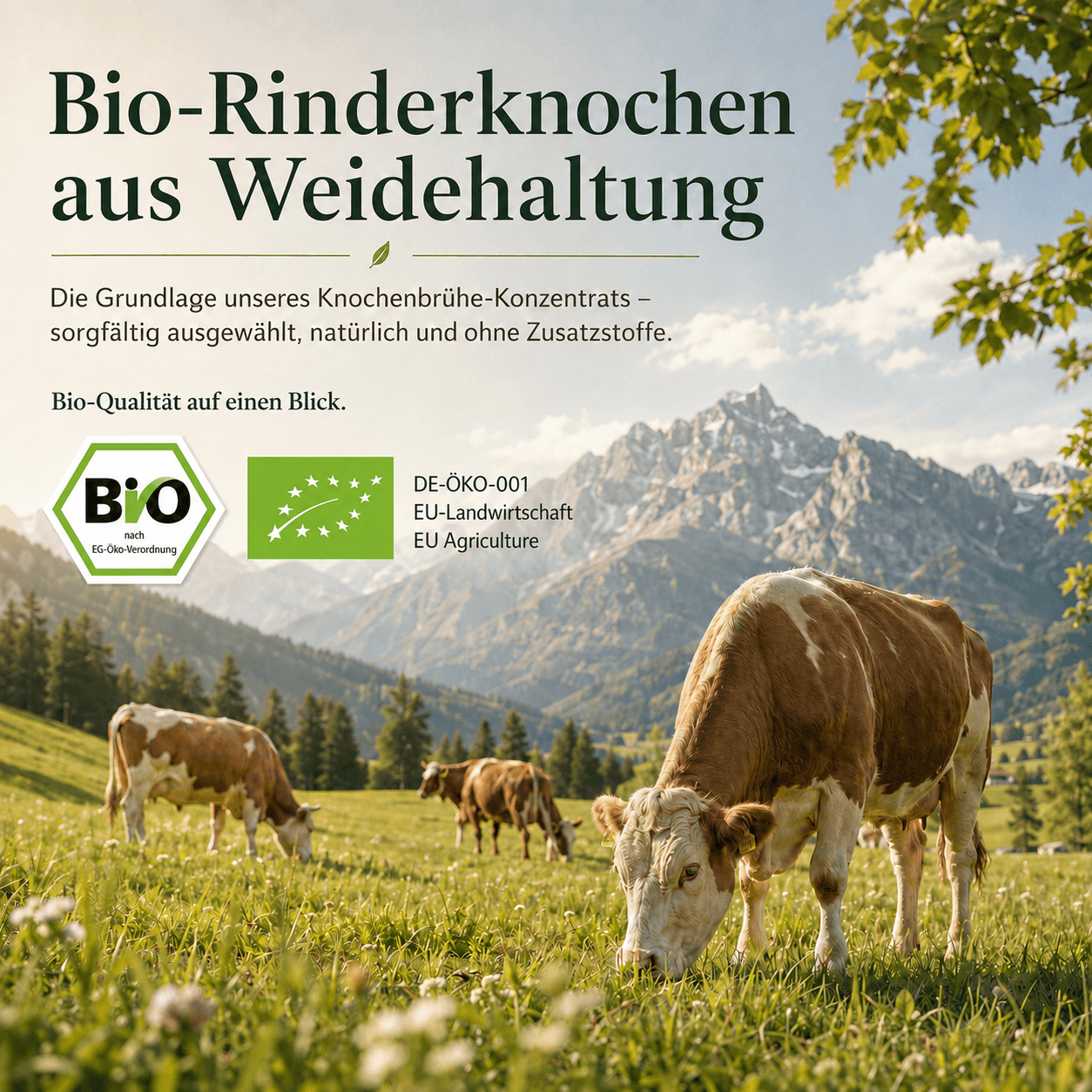 Animal Based Knochenbrühe-Konzentrat als warmes herzhaftes Ritual für den Alltag.