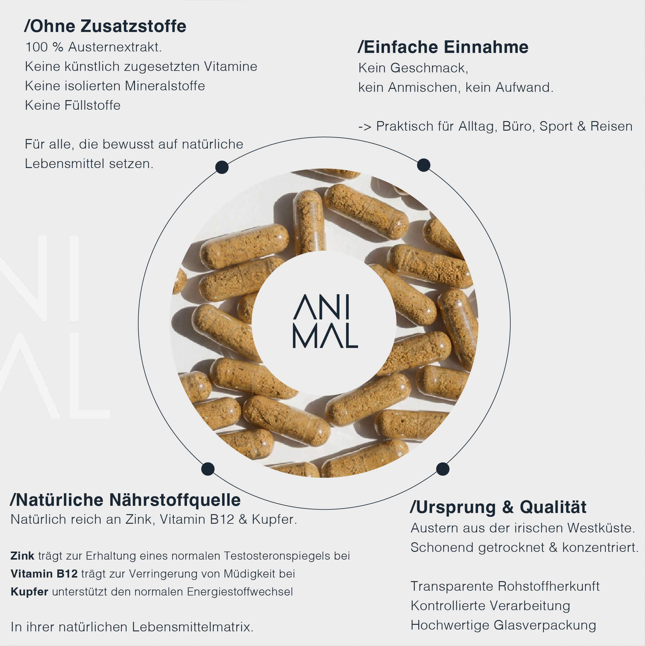 Close-up of a single green leaf against a white background.