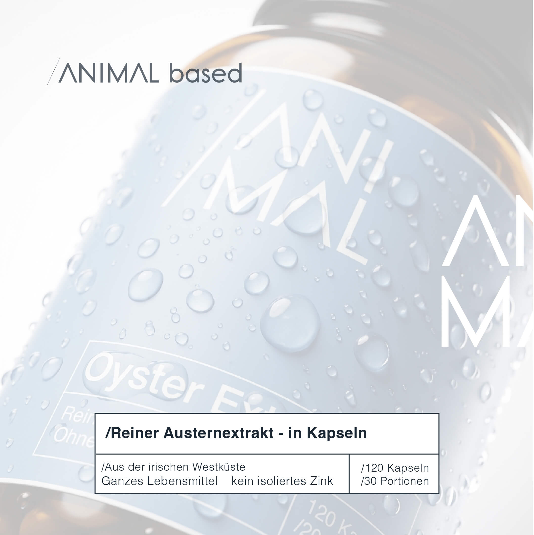 Close-up of a single green leaf against a white background.