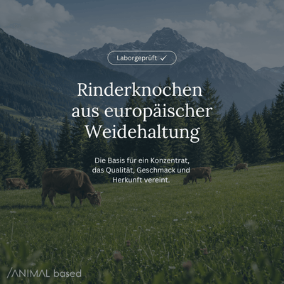 Animal Based Knochenbrühe-Konzentrat aus Rinderknochen europäischer Weidehaltung.