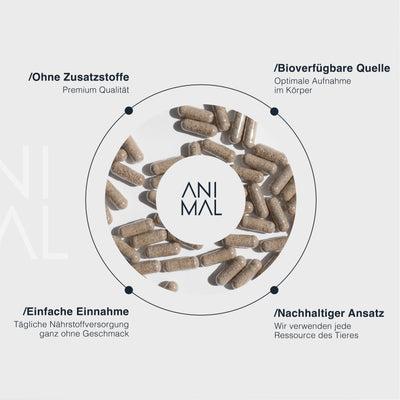 Grass Fed Beef Liver Capsules